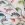 Tricot stof - digitaal kameleon - wit - 22/5562-002 - Tricot stof - digitaal kameleon - wit - 22/5562-002