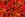 Viscose stof - linnenmix - digitaal bloemen - rood - 922781-71 - Viscose stof - linnenmix - digitaal bloemen - rood - 922781-71