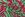 Viscose stof - digitaal zebra - groen fuchsia - 922807-60 - Viscose stof - digitaal zebra - groen fuchsia - 922807-60
