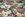 Tricot stof - digitaal fantasie - multi - 23323 - Tricot stof - digitaal fantasie - multi - 23323