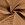Durchgestickt - Durchgestickte Futter - beige - 21163-052 - Durchgestickt - Durchgestickte Futter - beige - 21163-052