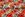 Tricot stof - digitaal bloemen - aqua rood - 23971-09 - Tricot stof - digitaal bloemen - aqua rood - 23971-09