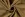 Viscose stof - linnenmix slub - camel - 13579-053 - Viscose stof - linnenmix slub - camel - 13579-053