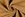Polyester stof - mantelstof wool touch - camel - 22115-153 - Polyester stof - mantelstof wool touch - camel - 22115-153