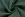 Tricot stof - punta di roma - donker mint - 0835-222 - Tricot stof - punta di roma - donker mint - 0835-222