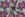 Voile stof - bloemen abstract - licht groen - 4011-002 - Voile stof - bloemen abstract - licht groen - 4011-002