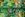 Tricot stof - digitaal abstract - groen multi - 23058-99 - Tricot stof - digitaal abstract - groen multi - 23058-99