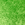 Velours de panne stof - appelgroen - 5666-024 - Velours de panne stof - appelgroen - 5666-024