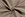Stretch stof - bengaline - abstract - beige multi - 22227-008 - Stretch stof - bengaline - abstract - beige multi - 22227-008