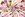 Canvas stof - digitaal bloemen - multi - 20985-080 - Canvas stof - digitaal bloemen - multi - 20985-080