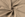 Viscose stof - linnenmix slub - beige - 13579-153 - Viscose stof - linnenmix slub - beige - 13579-153