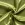 Satijn stof - appelgroen - 4796-026 - Satijn stof - appelgroen - 4796-026
