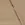Ribcord stof - beige - 9471-052 - Ribcord stof - beige - 9471-052