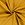 Ribcord stof - donker - oker - 9471-034 - Ribcord stof - donker - oker - 9471-034