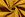 Ribcord stof - donker - oker - 9471-034 - Ribcord stof - donker - oker - 9471-034