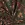 Tricot stof - bloemen - legergroen - 23/3121-009 - Tricot stof - bloemen - legergroen - 23/3121-009