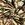 Softshell stof - verfstrepen - groen bruin zwart - 9230321-70 - Softshell stof - verfstrepen - groen bruin zwart - 9230321-70