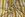 Tricot stof - gestreept - oker wit - JT36 - Tricot stof - gestreept - oker wit - JT36