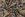 Viscose stof - crepe - paisley - multi - JT63 - Viscose stof - crepe - paisley - multi - JT63