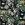 Katoen stof - poplin - bloemen - zwart - 16536-690 - Katoen stof - poplin - bloemen - zwart - 16536-690