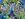 Fluweelstof - pauwen - blauw groen - 22775-970 - Fluweelstof - pauwen - blauw groen - 22775-970