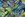 Fluweelstof - pauwen - blauw groen - 22775-970 - Fluweelstof - pauwen - blauw groen - 22775-970