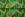 Tricot stof - digitaal abstract - groen multi - 24015-10 - Tricot stof - digitaal abstract - groen multi - 24015-10