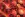Tricot stof - digitaal abstract - rood - 24029-12 - Tricot stof - digitaal abstract - rood - 24029-12