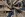 Suedine - Wildleder Paisley - dunkelblau -22234-008 - Suedine - Wildleder Paisley - dunkelblau -22234-008