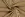 Satijn stof - slangenprint - camel - 22042-053 - Satijn stof - slangenprint - camel - 22042-053