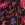 Katoen stof - voile - bloemen - zwart - 4141-001 - Katoen stof - voile - bloemen - zwart - 4141-001