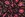 Katoen stof - voile - bloemen - zwart - 4141-001 - Katoen stof - voile - bloemen - zwart - 4141-001