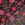 Katoen stof - voile - bloemen - zwart - 4141-001 - Katoen stof - voile - bloemen - zwart - 4141-001