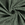 Badstof - Rekbare badstof - oudgroen - 11707-022 - Badstof - Rekbare badstof - oudgroen - 11707-022
