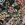 Polyesterstoff - Gobelin - Blumen - schwarz - 3452-001 - Polyesterstoff - Gobelin - Blumen - schwarz - 3452-001