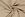 Jersey - Rippstrick - beige - 3362-052 - Jersey - Rippstrick - beige - 3362-052