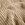Jersey - Rippstrick - beige - 3362-052 - Jersey - Rippstrick - beige - 3362-052