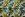 Tricot stof - digitaal bladeren - geel blauw - 25981-09VI - Tricot stof - digitaal bladeren - geel blauw - 25981-09VI