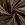 Taftzijde stof - taupe bruin - 5516-054 - Taftzijde stof - taupe bruin - 5516-054