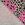 Jersey - French Terry - Leopard Neon Herz - Creme - 20106-550 - Jersey - French Terry - Leopard Neon Herz - Creme - 20106-550