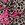 Jersey - French Terry - Leopard Neon Herz - Creme - 20106-550 - Jersey - French Terry - Leopard Neon Herz - Creme - 20106-550