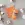 Catona Chroma 019 - Calendula - 50 gram - Catona Chroma 019 - Calendula - 50 gram