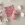 Catona Chroma 025 - Honeysuckle - 50 gram - Catona Chroma 025 - Honeysuckle - 50 gram