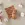 Catona Chroma 027 - Autumn - 50 gram - Catona Chroma 027 - Autumn - 50 gram