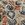 Katoen stof - batik - voile - fantasie - beige - 23361-052 - Katoen stof - batik - voile - fantasie - beige - 23361-052