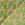 Katoen stof - batik - voile - bloemen - limoen - 23364-023 - Katoen stof - batik - voile - bloemen - limoen - 23364-023