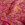 Katoen stof - batik - voile - bloemen - roze - 23376-014 - Katoen stof - batik - voile - bloemen - roze - 23376-014