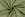 Recycled polyester stof - quick dry swimwear - digitaal krabben - olijf - 25/23862-026 - Recycled polyester stof - quick dry swimwear - digitaal krabben - olijf - 25/23862-026