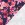 Jersey - digitale Blumen - marineblau - 25/5054-003 - Jersey - digitale Blumen - marineblau - 25/5054-003
