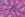 Jersey - Glitzer-Lolli - lila - 25/5109-008 - Jersey - Glitzer-Lolli - lila - 25/5109-008